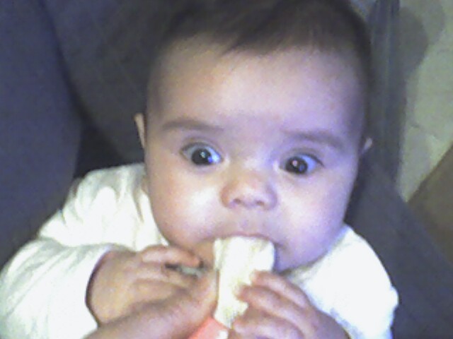Menjan un Platan
